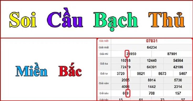 Soi-cau-bach-thu-lo